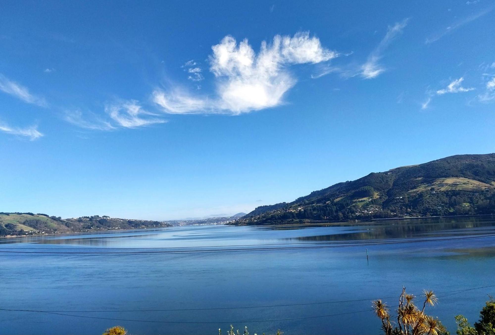 The Views Otel Dunedin Dış mekan fotoğraf